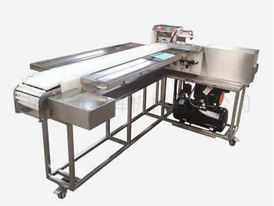 連續(xu)自動型穿(chuan)串機